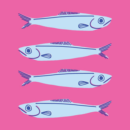 sardines motif